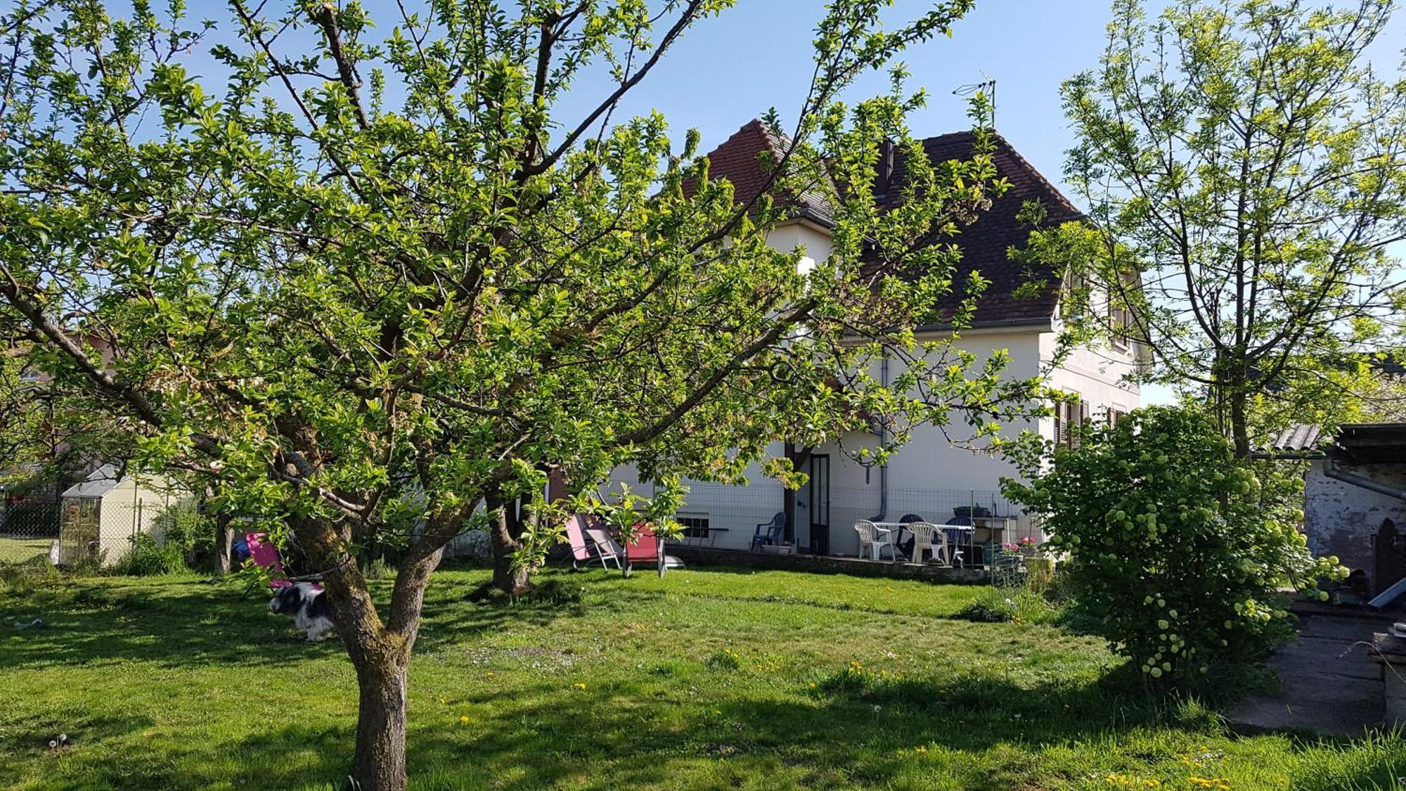 Maison Les 3 Roses Wolfisheim Exterior photo